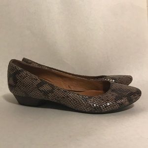 Clark’s Indigo Python Aggie Shoes